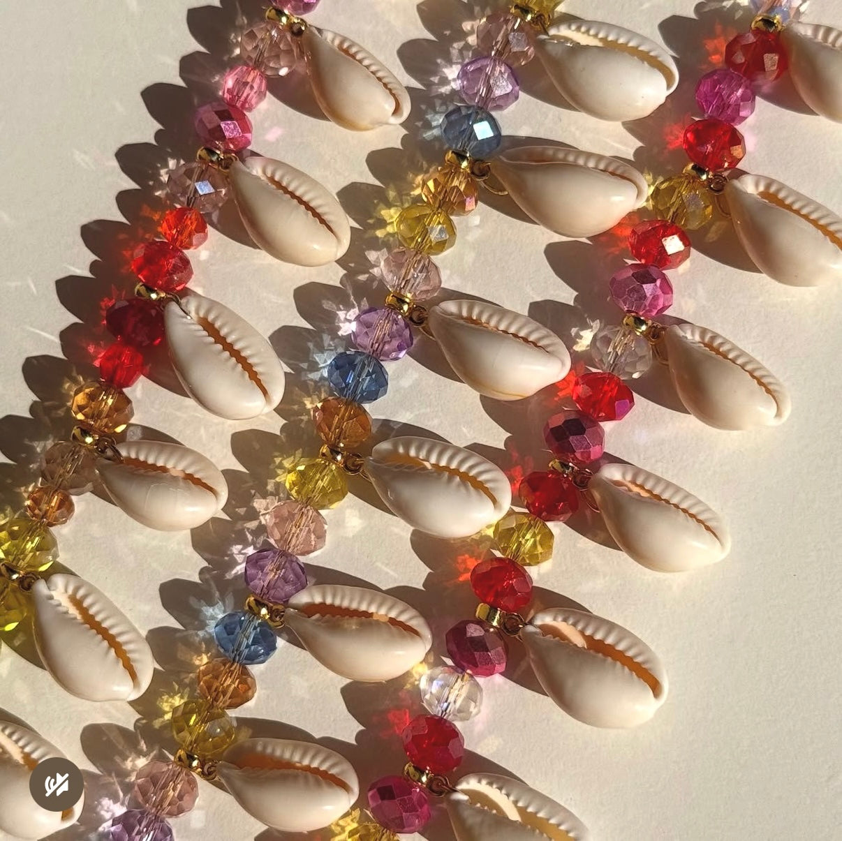 Coquillages naturels